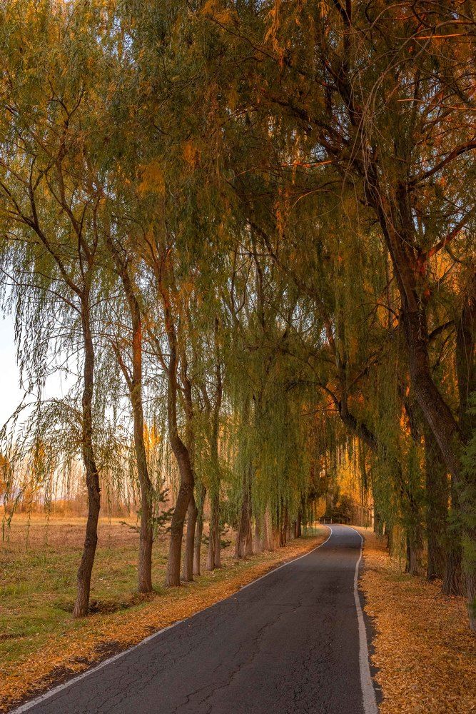 Photograph by Наталья Балеевских