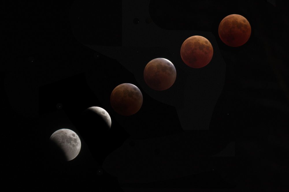 Photograph by Елена Ласун