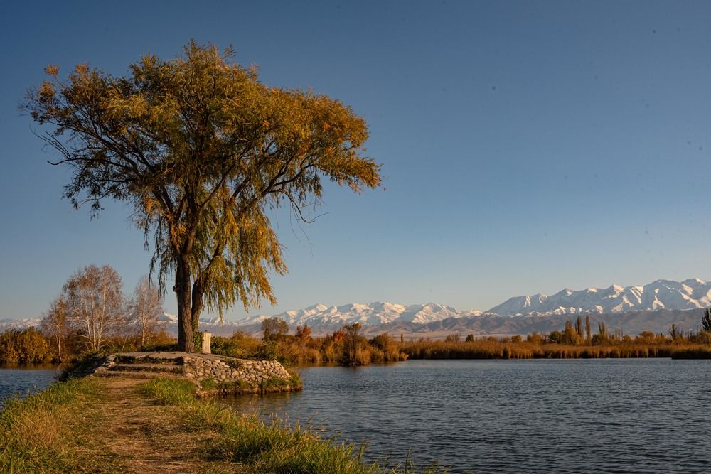 Photograph by Наталья Балеевских