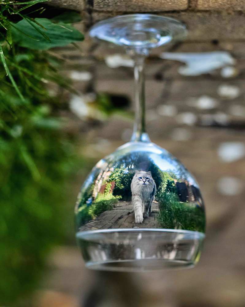 Photograph by Ксения Базарова