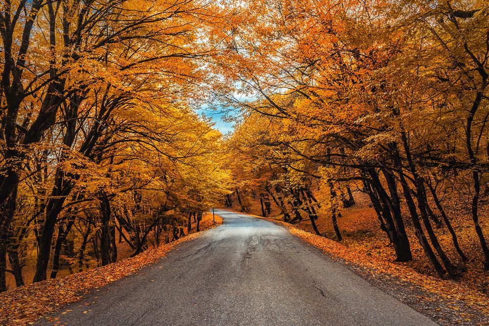 Фотография автора Valery