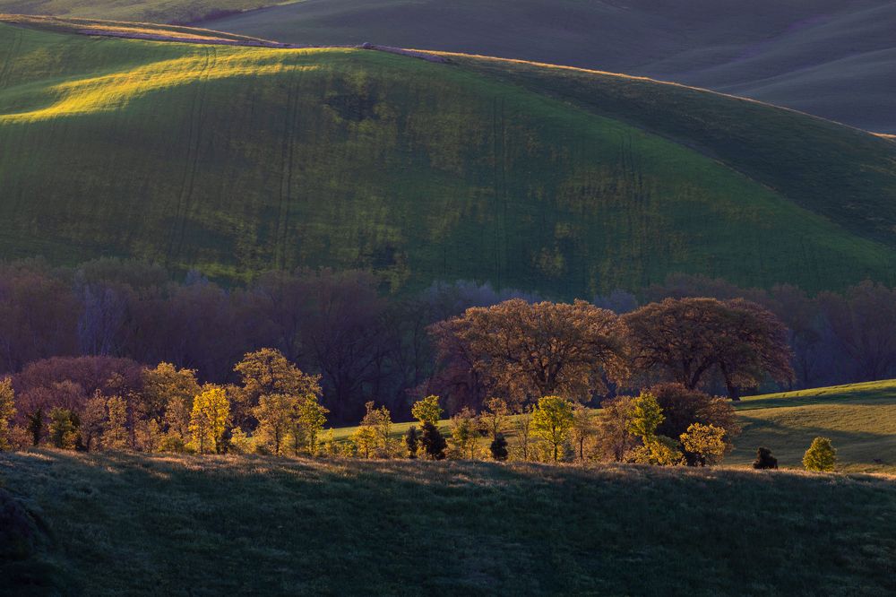 Photograph by Евгения Чех