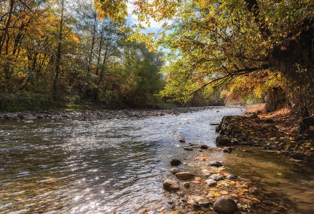 Фотография автора Шевченко Юрий