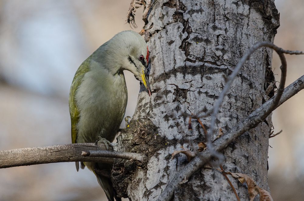 Photograph by Виктор Чернюк