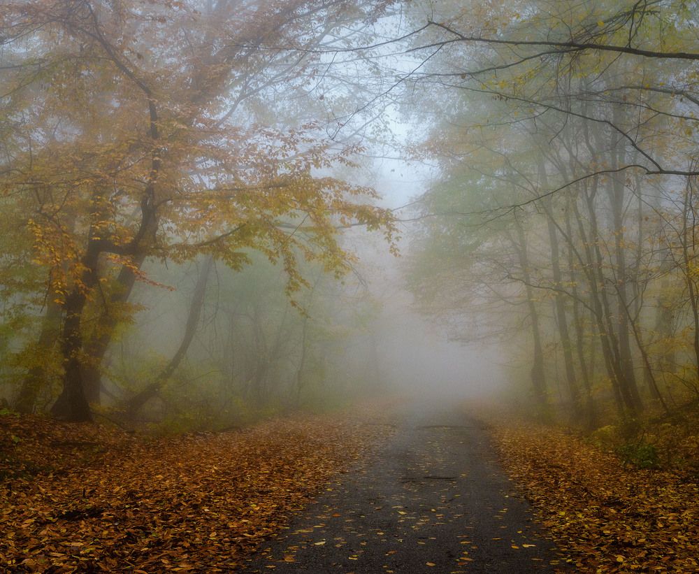 Фотография автора Шевченко Юрий