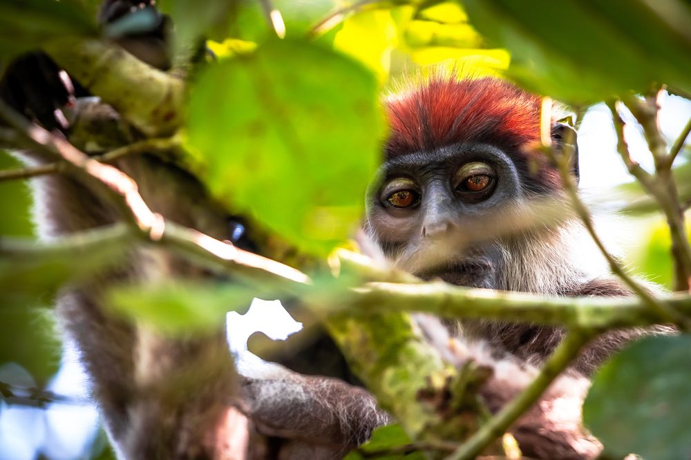 Photograph by Vita Potomova