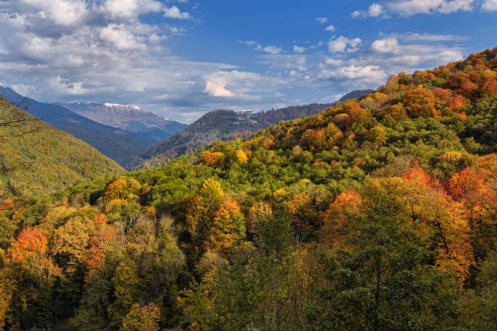 Photograph by Евгений Кучеренко