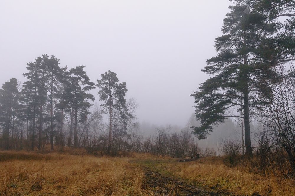 Photograph by Татьяна Тарасова