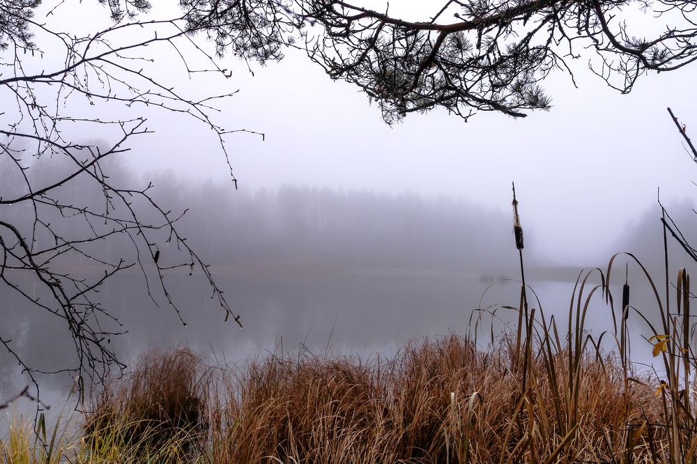 Photograph by Татьяна Тарасова