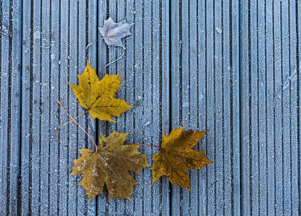 Photograph by Vladimir Tareev