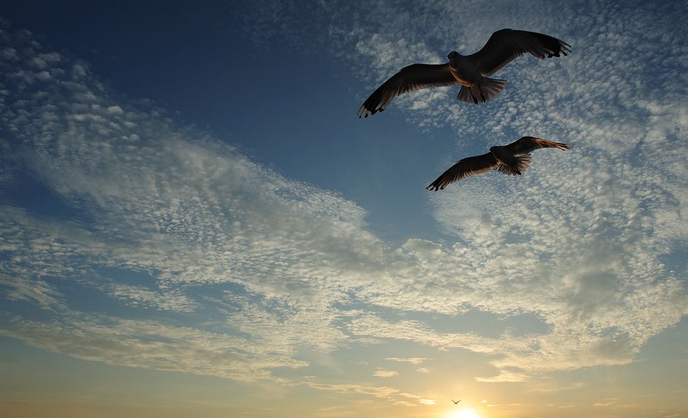 Photograph by Сергей Сережников