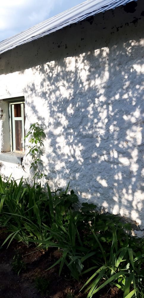 Photograph by Светлана Немонтова