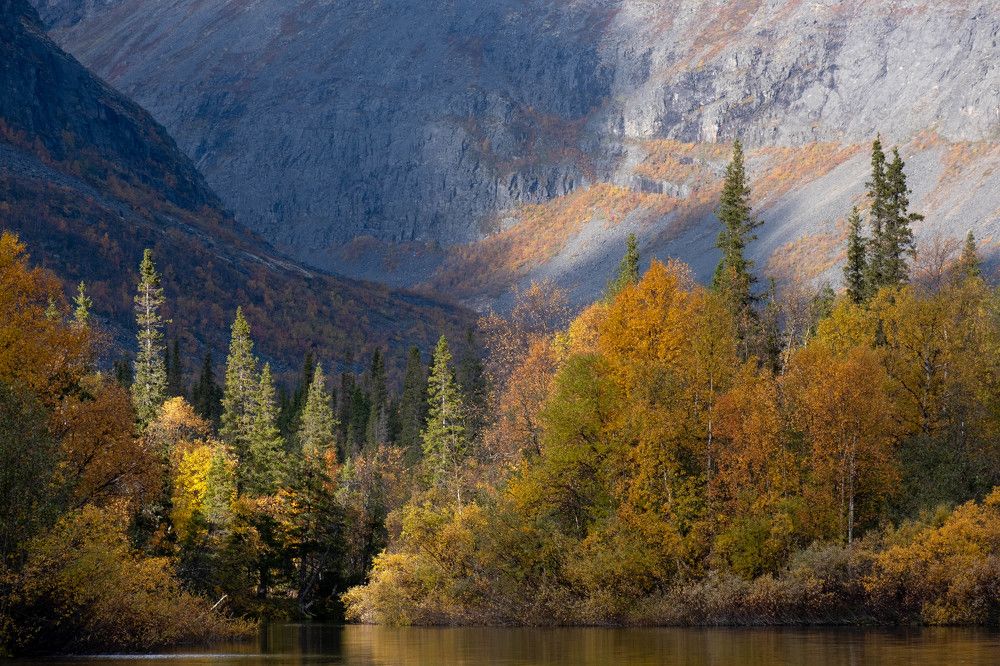 Photograph by Михаил Азаров