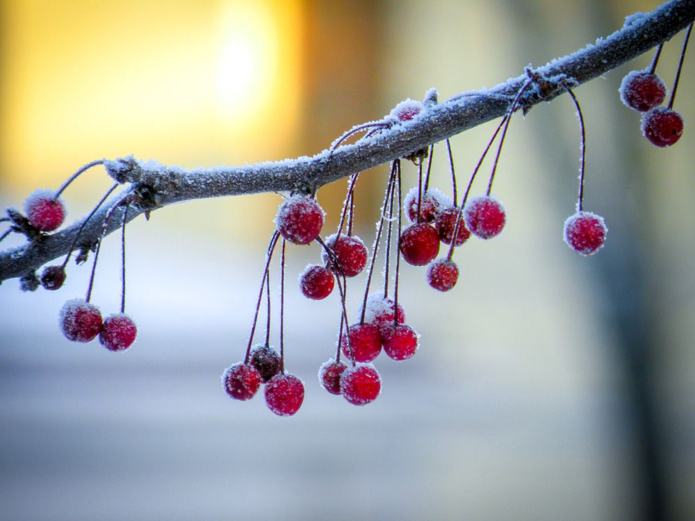 Photograph by Aleksandr Barsukov