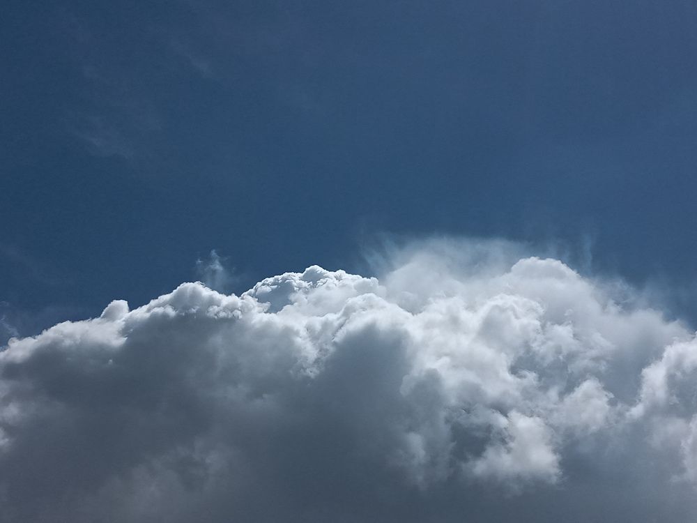 Photograph by Roghayeh Dannandeh