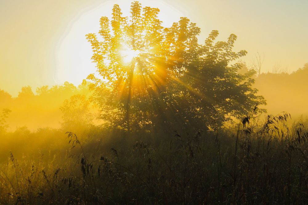 Photograph by Матвей Короткин