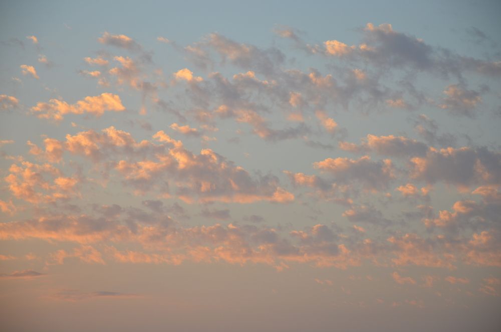 Photograph by Надежда Каравайцева