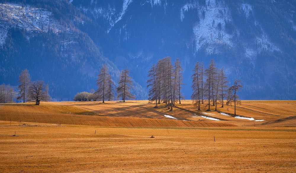 Photograph by 