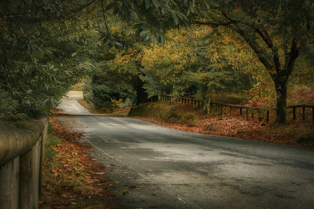 Photograph by Emi Ramirez