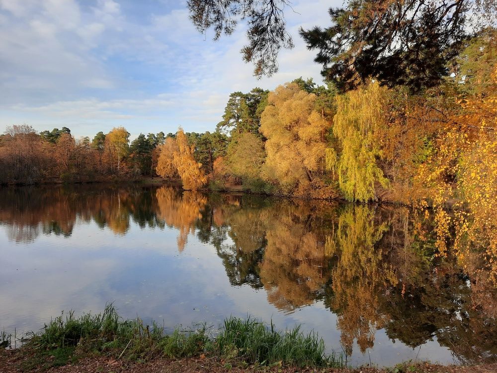 Photograph by Галина Шипухина