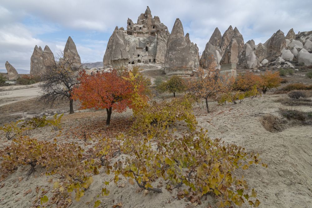 Photograph by Сергей Савчук