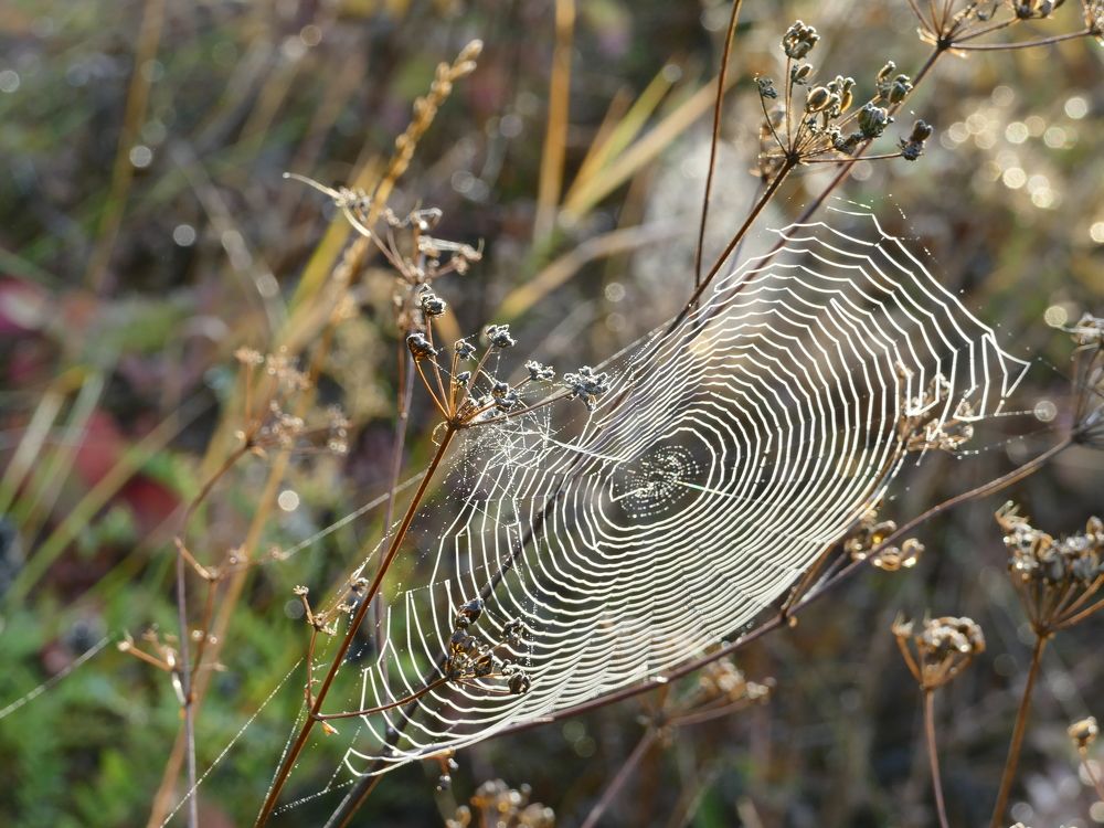 Photograph by Александр Кизим