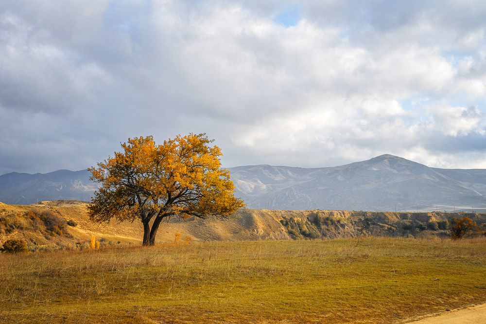 Photograph by Юлия Тарасенко