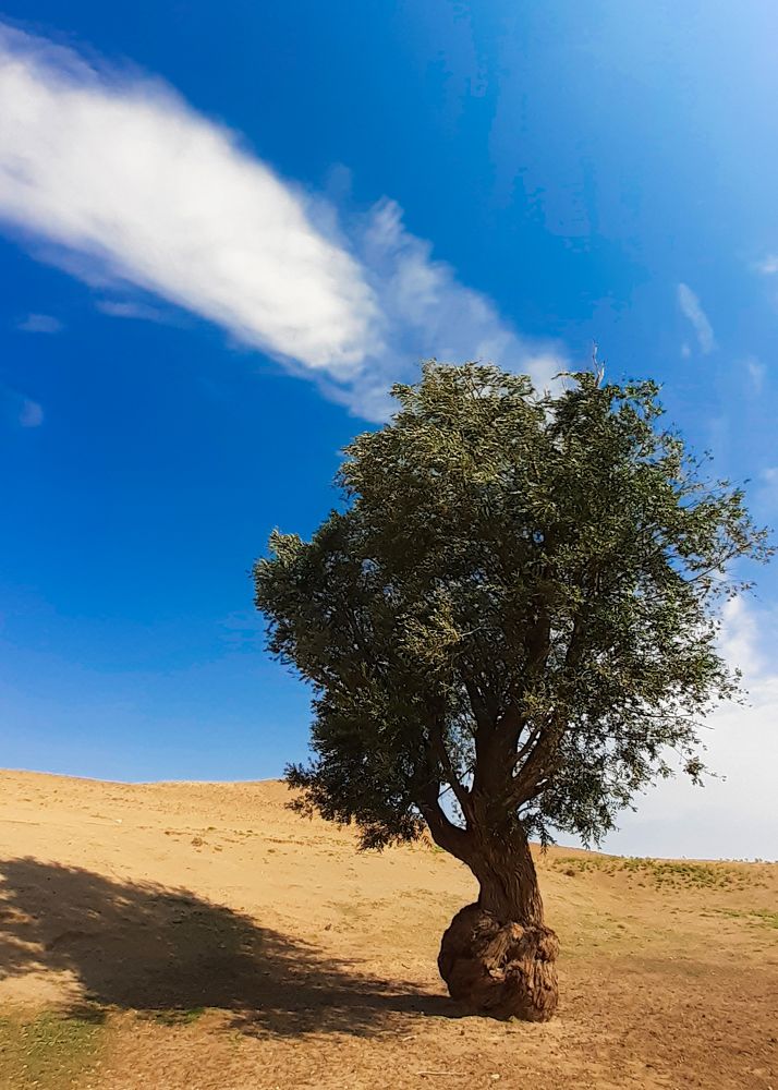 Photograph by Mohammd Rasul