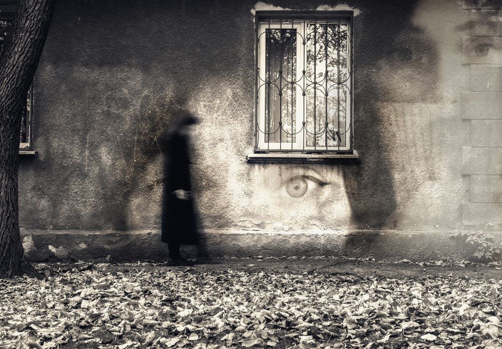 Photograph by Денис Труфанов