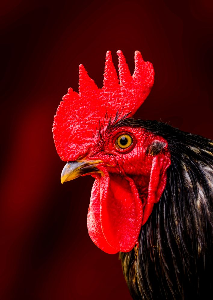 Photograph by Dhruv Shilpi