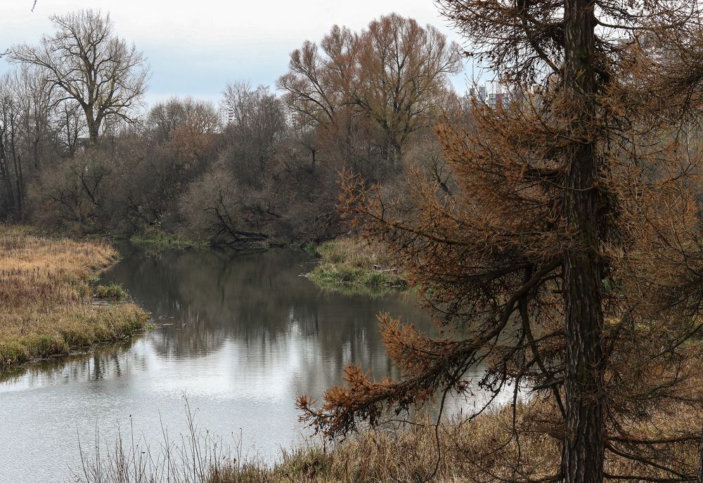 Ноябрь в парке