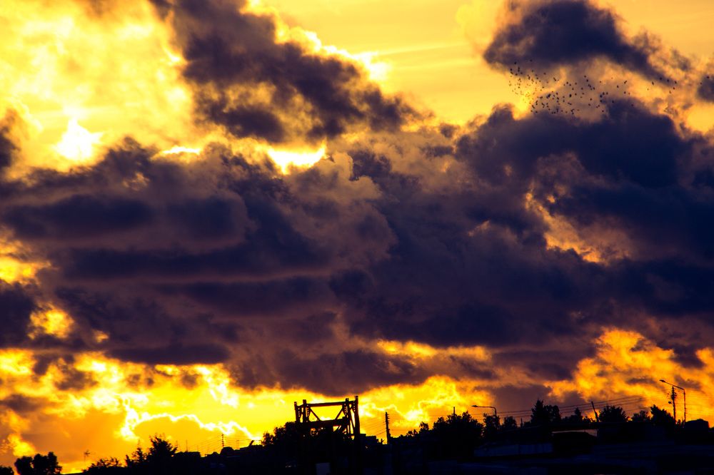 Photograph by Ernest Spiteri Gonzi