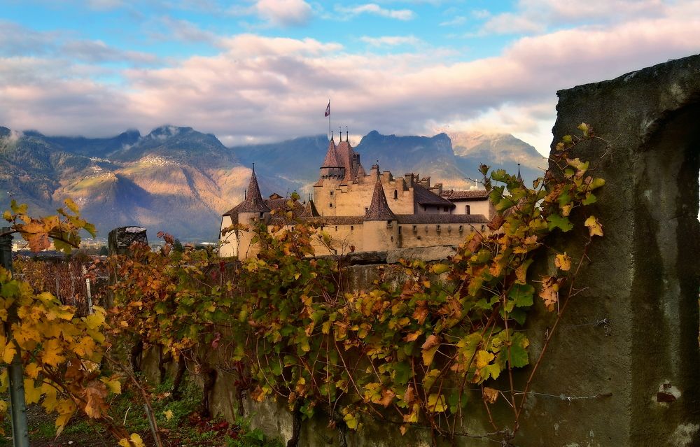 Photograph by Elena Wymann