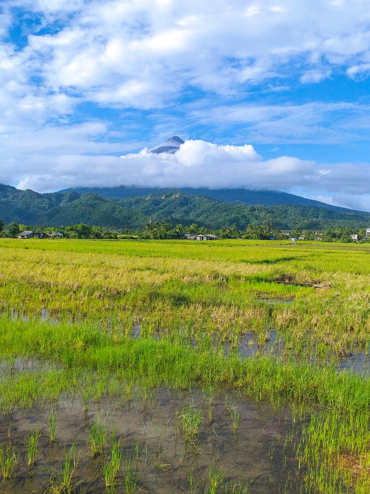 Photograph by John Michael Bien