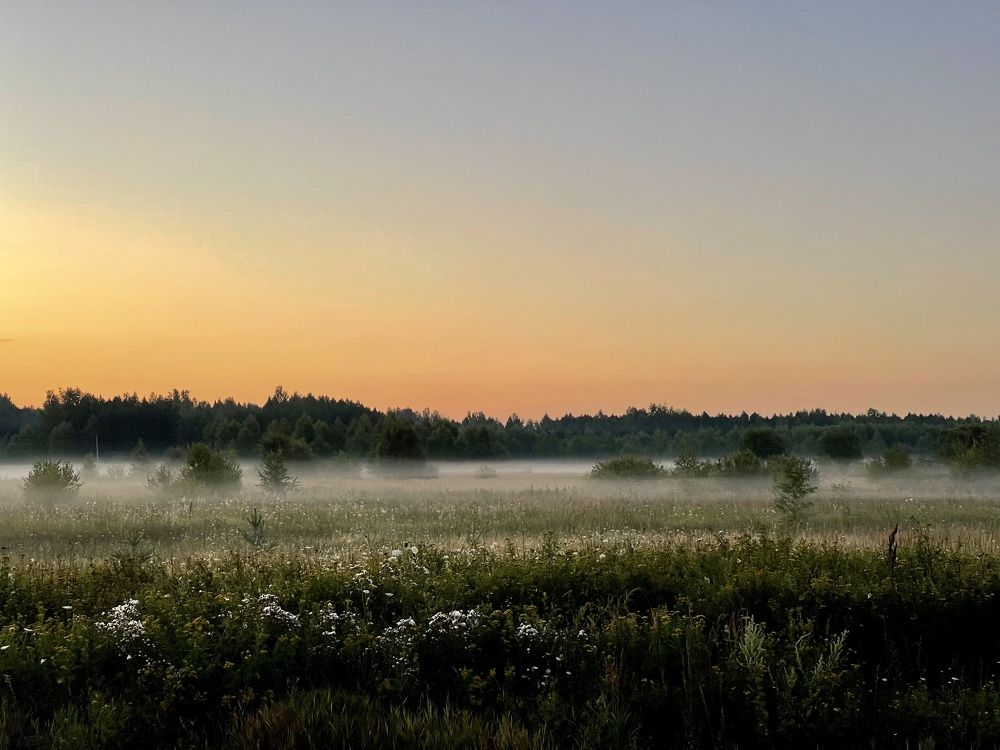 Photograph by Oleg Ki