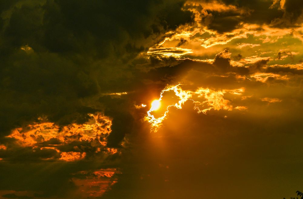 Photograph by Олег Волков