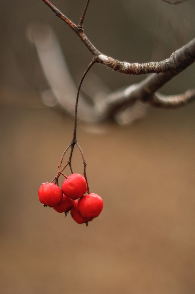 Photograph by Марина Слепова