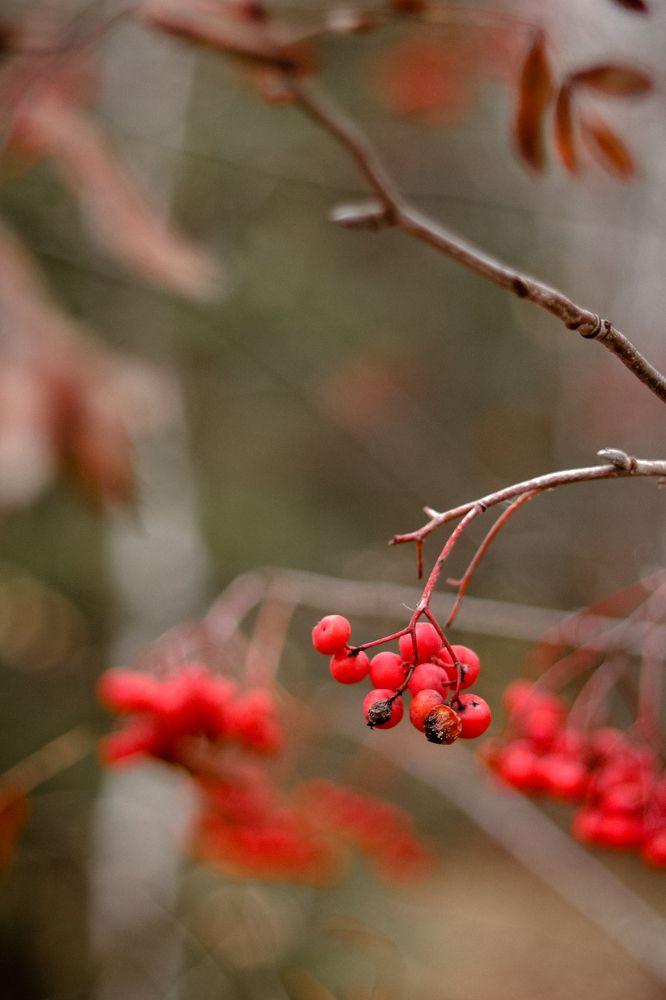 Photograph by Марина Слепова