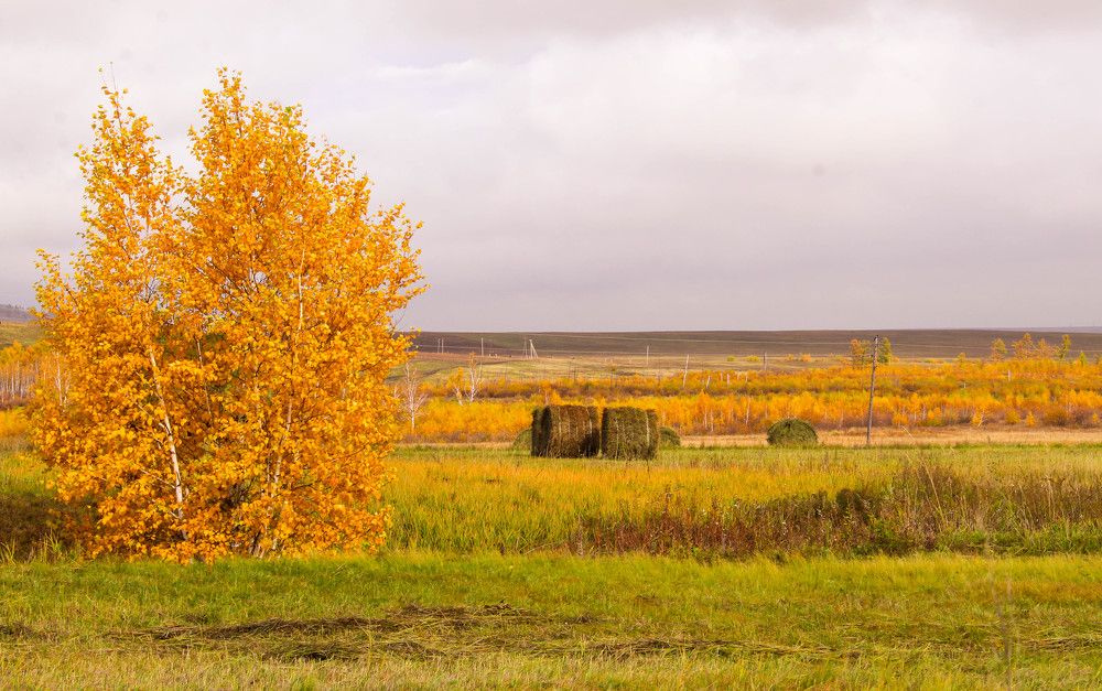 Photograph by Елена Мизина