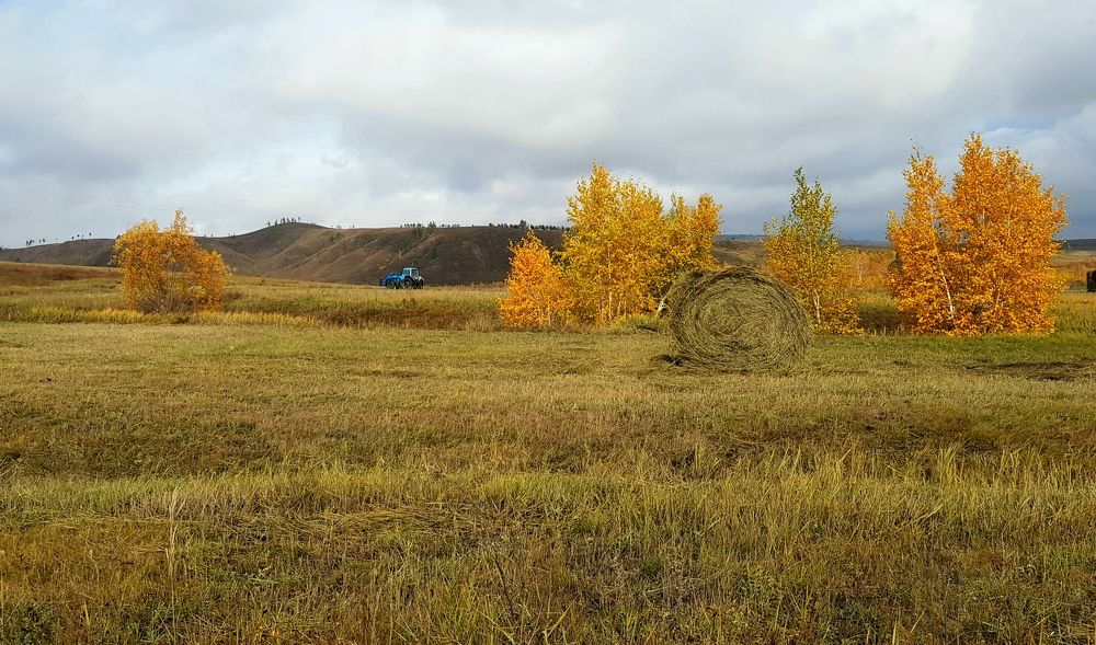 Photograph by Елена Мизина