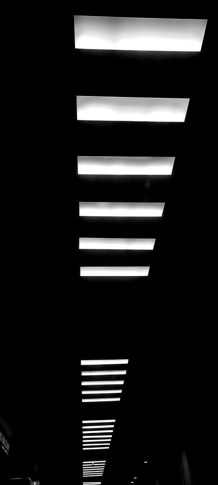 Photograph by Mostafa Shahriar