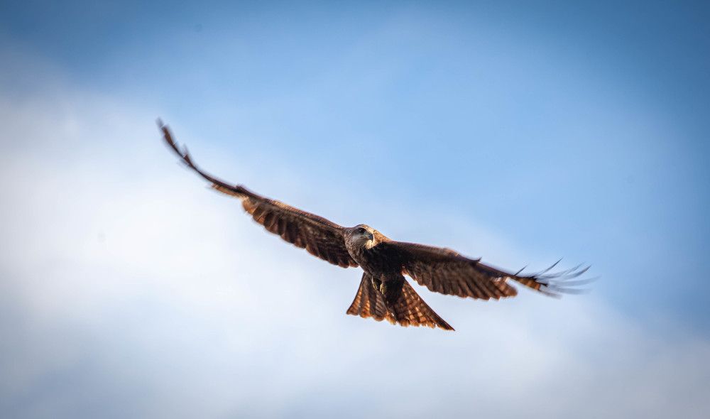 Photograph by Толян Бууулочкин