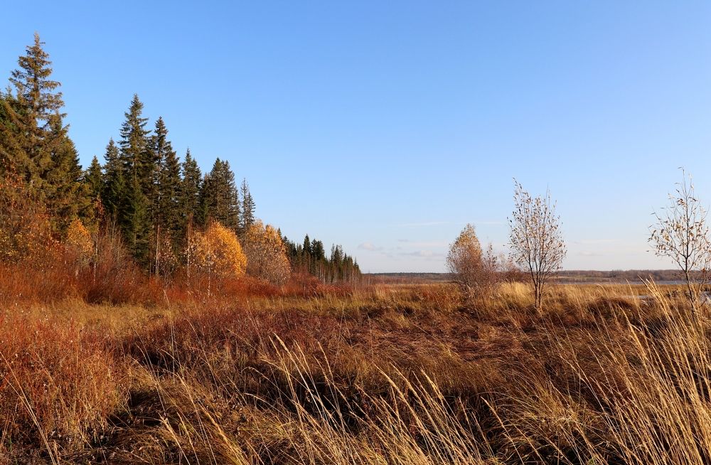 Photograph by Нина Чугунова