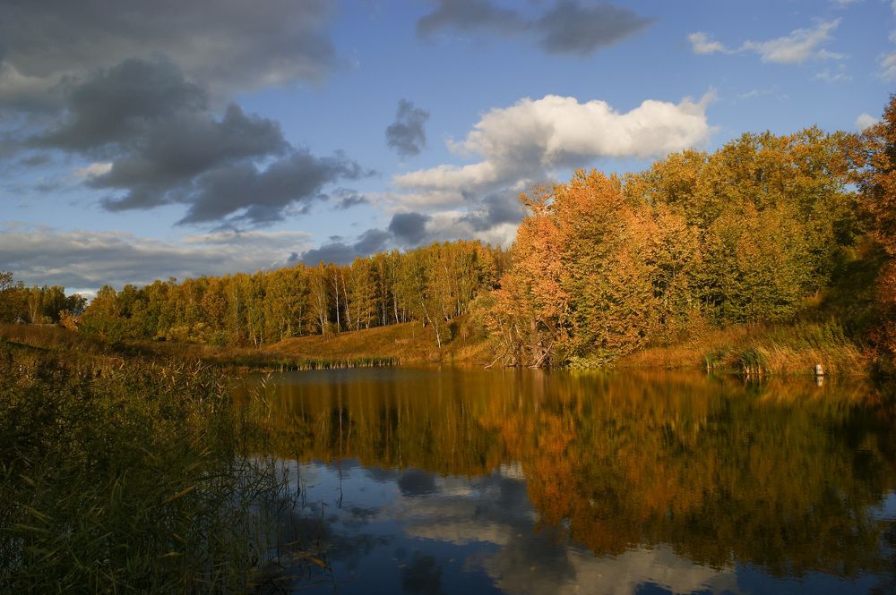 Осенняя рапсодия.