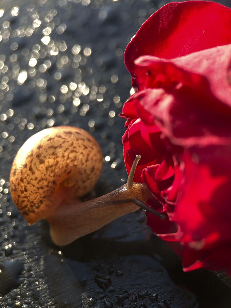 Photograph by Юлия Отставнова