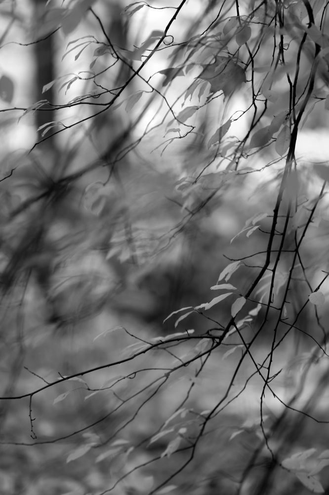 Photograph by Унку Юрий