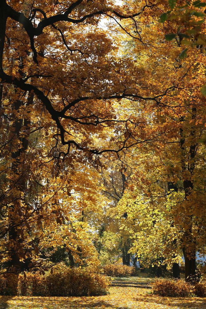 Photograph by Унку Юрий