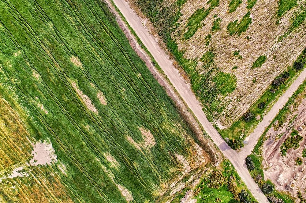 Photograph by Luiggi Muz