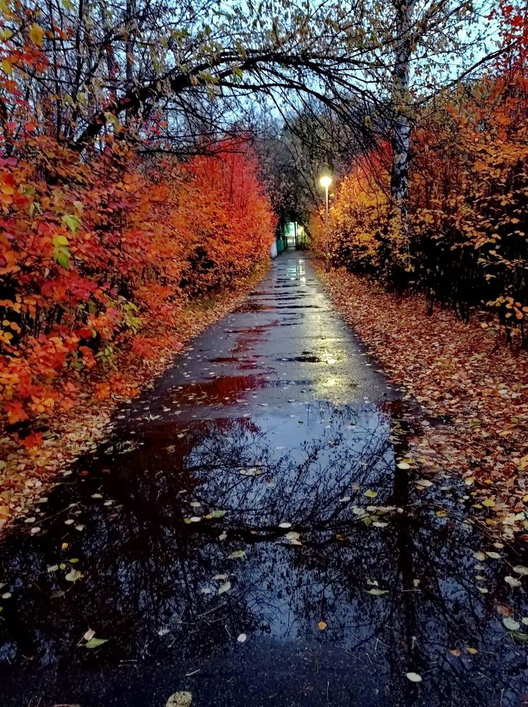 Photograph by НИНА АВЕРЬЯНОВА