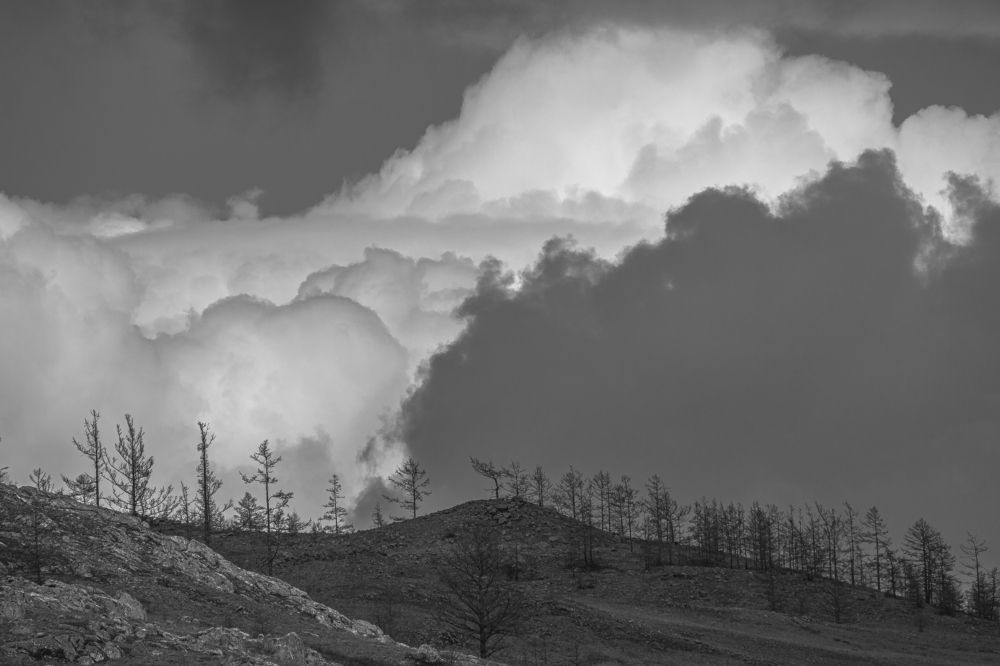 Фотография автора Александр Довганюк